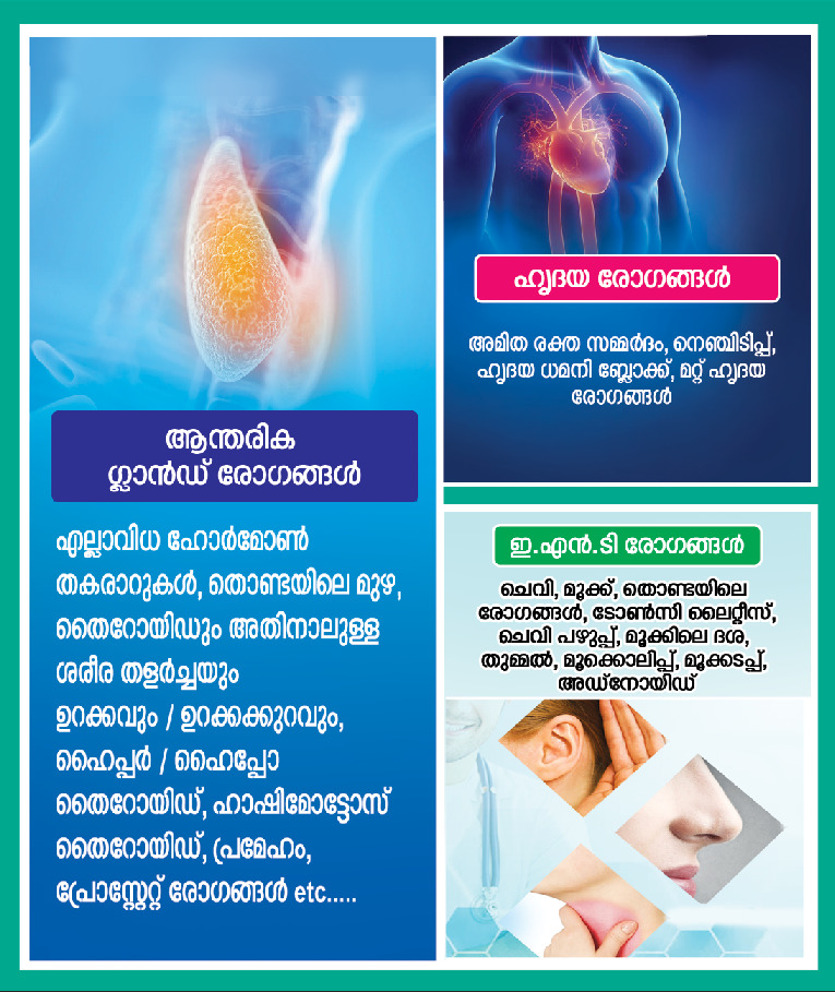 Dr salihs Healthcare Homoeo Speciality Clinic & Counselling Centre, Kondotty