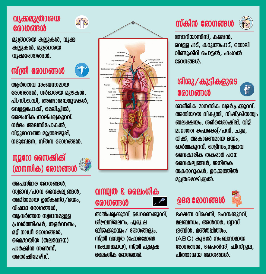 Dr salihs Healthcare Homoeo Speciality Clinic & Counselling Centre, Kondotty